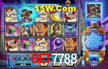 A Experiência Imersiva dos Cassinos Ao Vivo no Bet7788